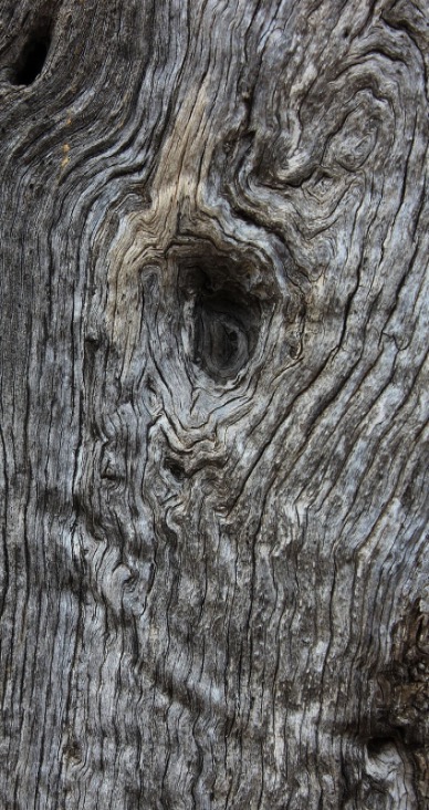 OLYV - NOTRE HUILE D’OLYV