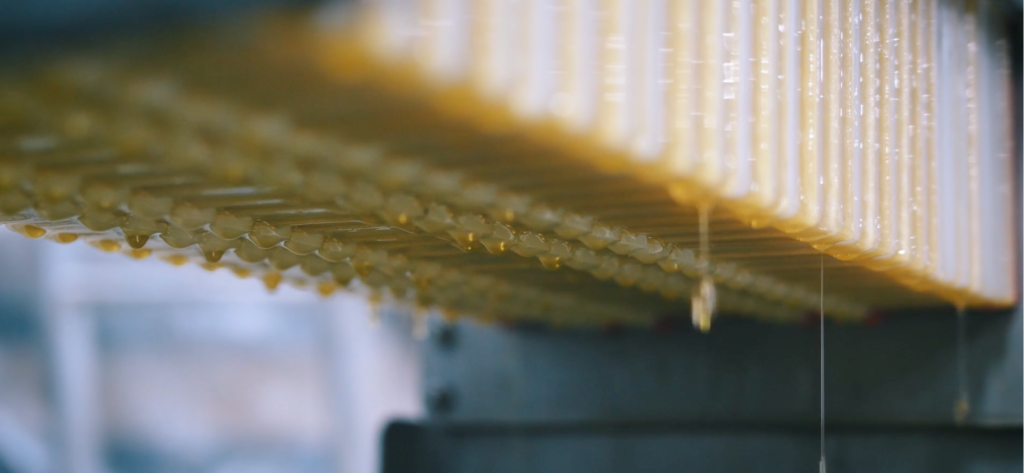 OLYV - NOTRE  SAVOIR FAIRE